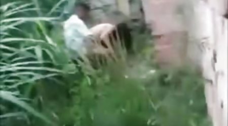 عجیب وحشیانه برای جشن پایان سال با جانور